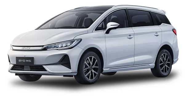 BYD M6